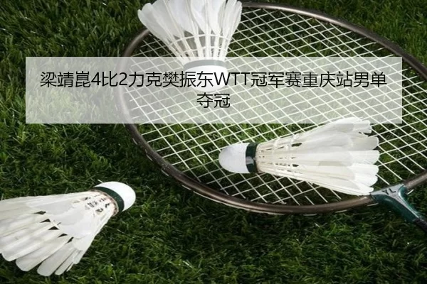 梁靖崑4比2力克樊振东WTT冠军赛重庆站男单夺冠